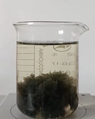 kaufen 100%ige Reinheit Kationische Polyacrylamid-Flockulant CPAM CAS 9003-05-8 online manufacture