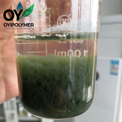 buy Gas Absorption Wastewater Treatment Water Decoloring Agent Cationic Polymer Flocculant online manufacture