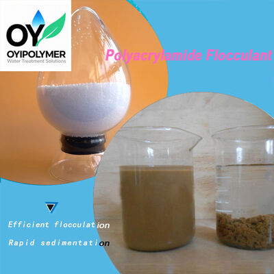 Buy Ion Exchange Based on Polymer Anionic Polymer used in Bangladesh Textile Mills Effluent Treatment online manufacture